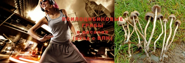 экстази Няндома