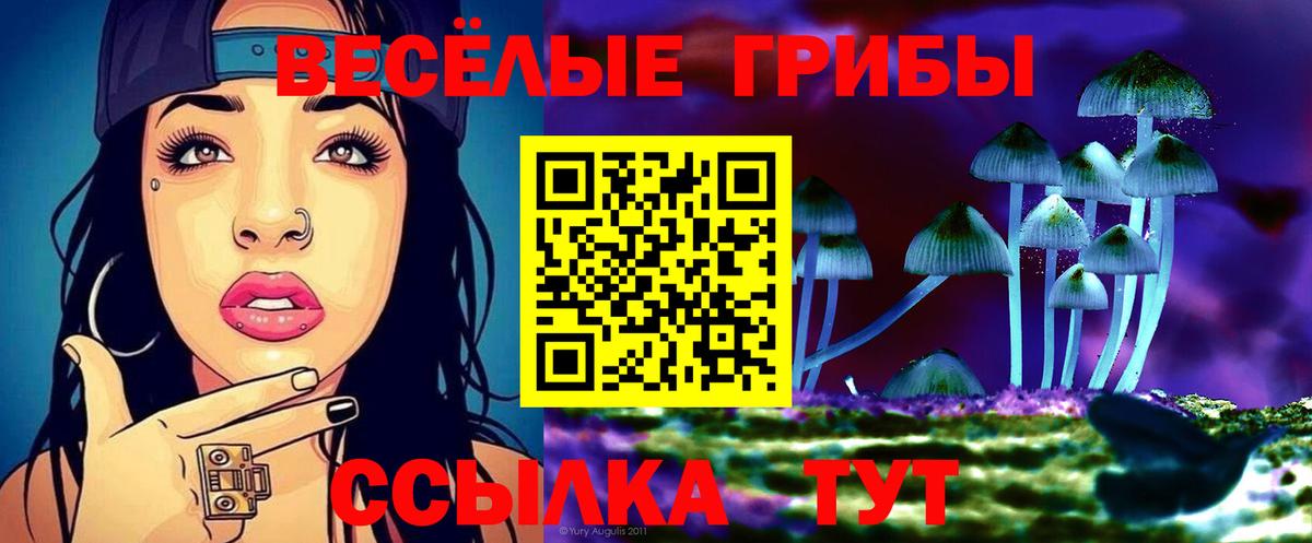 Галлюциногенные грибы MAGIC MUSHROOMS  Вход с VPN  Людиново 