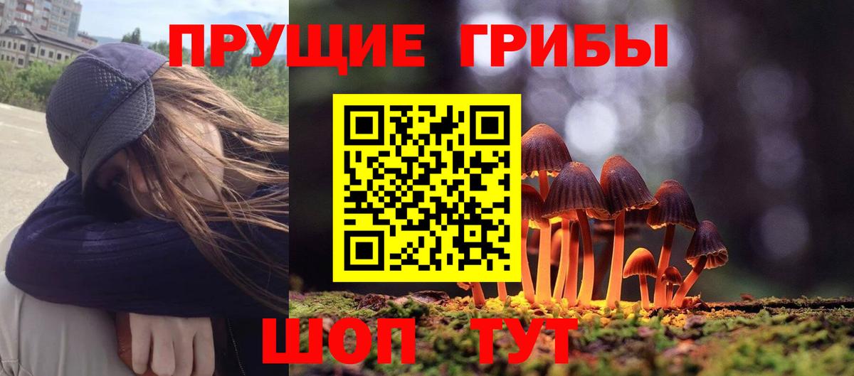 Псилоцибиновые грибы ЛСД Людиново