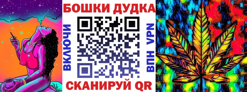 Бошки Шишки планчик  Людиново 